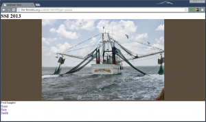 Screen Shot of a Picasa Web Album in Unslider